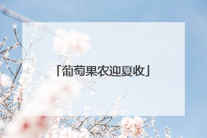 葡萄果农迎夏收